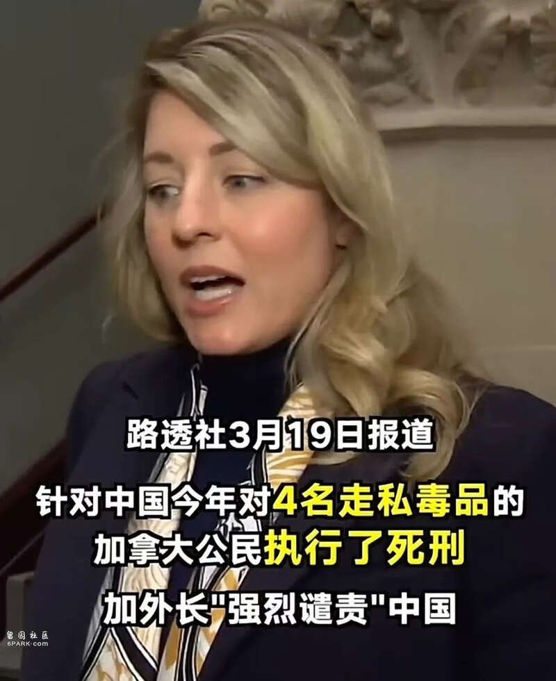 外媒嘲讽中国处死4名加拿大毒贩 外国网友:学学中国 -6parknews.com